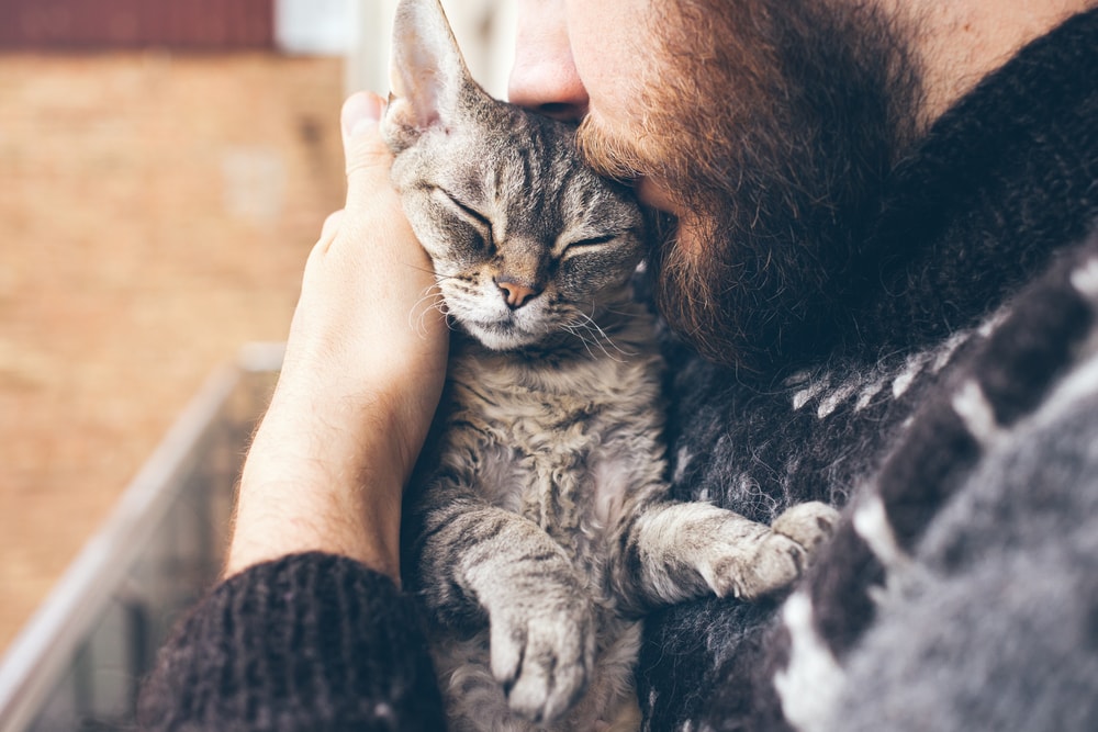 7 beneficios que las mascotas pueden aportar a las personas con esclerosis múltiple