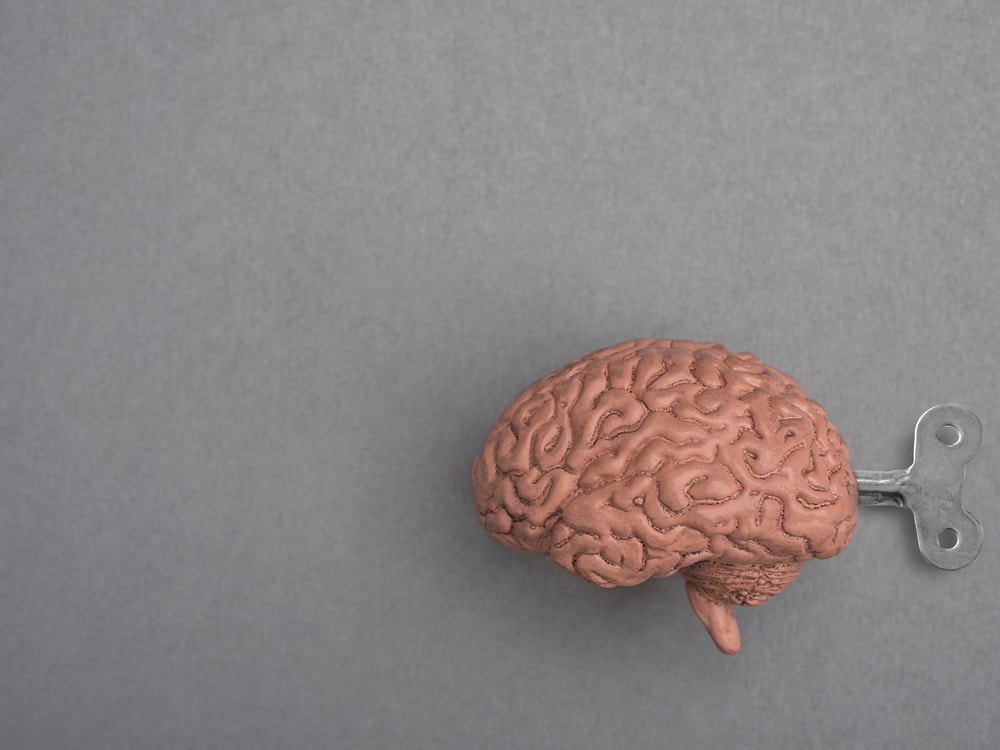 10 consejos para mantener el cerebro en forma ante la esclerosis múltiple