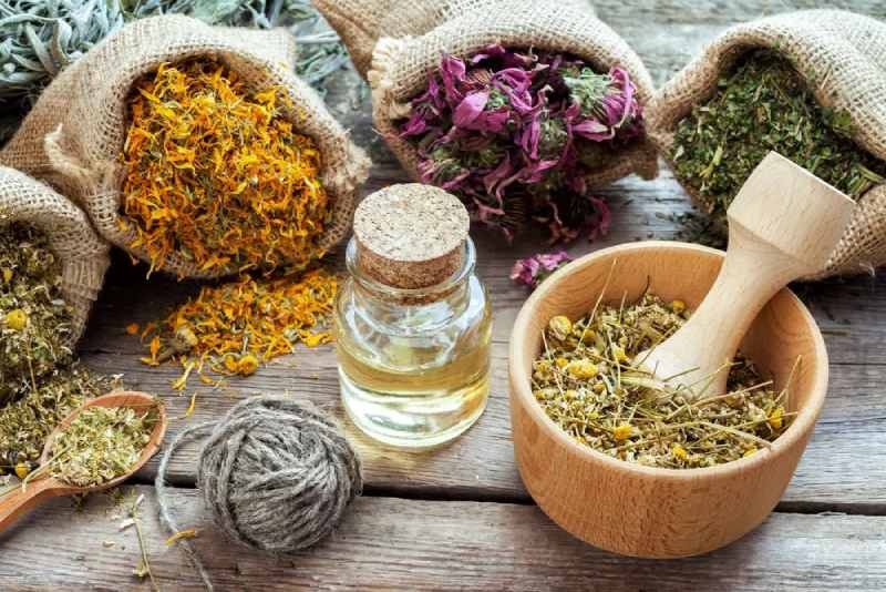 6 plantes medicinals per combatre l'esclerosi múltiple