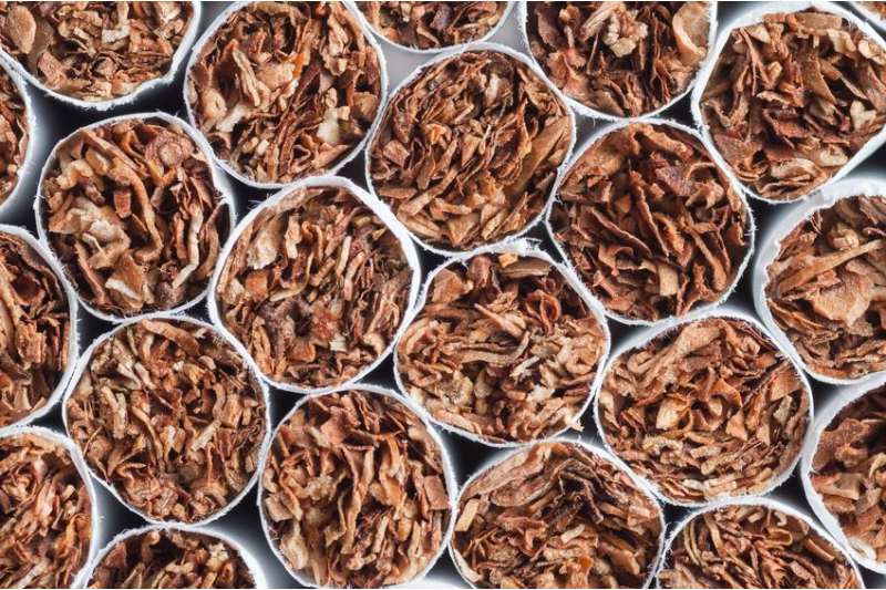 El tabaco acelera la transición a la esclerosis múltiple secundaria progresiva