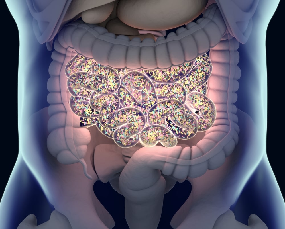 La microbiota intestinal y la esclerosis múltiple